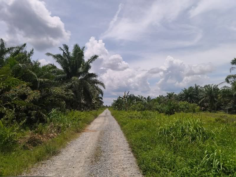 Agricultural Land for Sale in Pontian (Johor) - KS Chin - Exterior - PropertyGuru.com.my