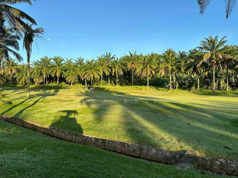 Commercial Land for Sale in Seberang Perai (Penang) - BILYA ARIFF - Exterior - PropertyGuru.com.my