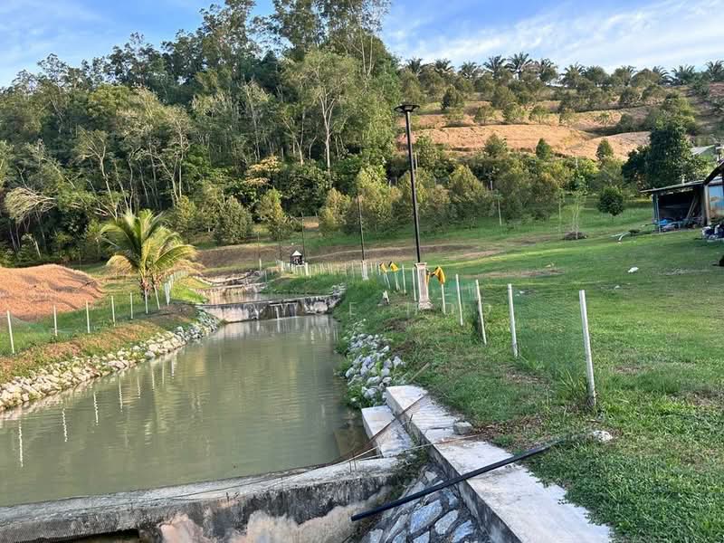 Tanah Pertanian untuk Dijual di Serendah (Selangor) - Joyce Hoo - Garden - PropertyGuru.com.my