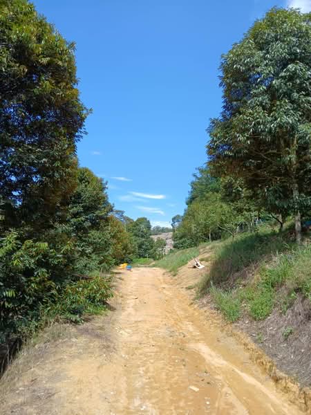 Agricultural Land for Sale in Titi (Negeri Sembilan) - Jia Le - Exterior - PropertyGuru.com.my