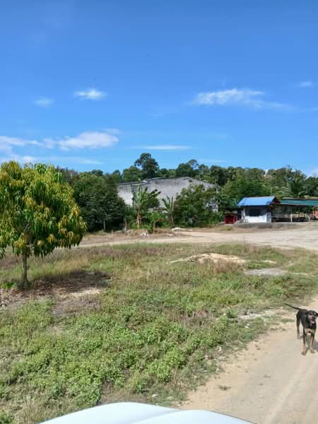Agricultural Land for Sale in Titi (Negeri Sembilan) - Jia Le - Exterior - PropertyGuru.com.my