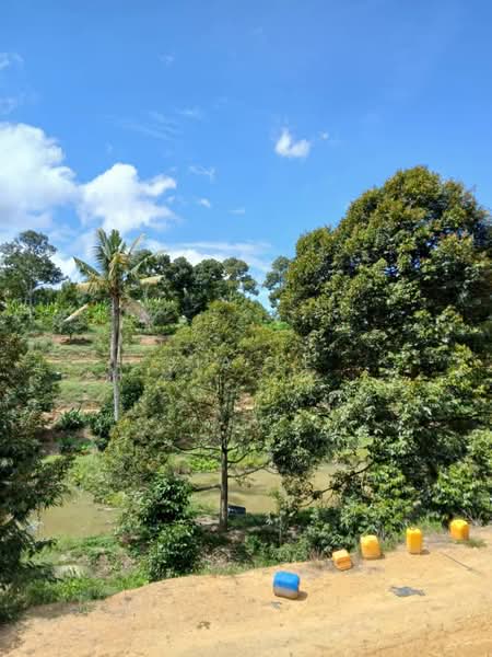 Agricultural Land for Sale in Titi (Negeri Sembilan) - Jia Le - Exterior - PropertyGuru.com.my