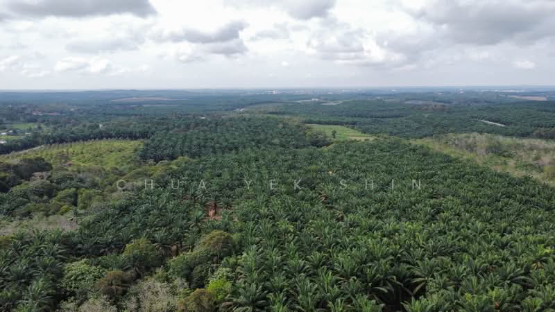 Agricultural Land for Sale in Bukit Gambir (Grisek) - Chua Yek Shin - Exterior - PropertyGuru.com.my