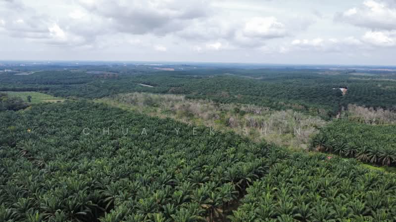 Agricultural Land for Sale in Bukit Gambir (Grisek) - Chua Yek Shin - Exterior - PropertyGuru.com.my