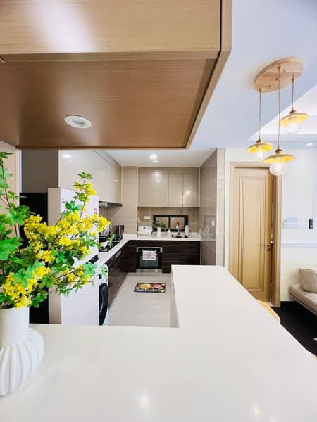 Condominium for Rent at R&F Princess Cove Phase 2-Seine Region - Rochy Ng - Kitchen - PropertyGuru.com.my