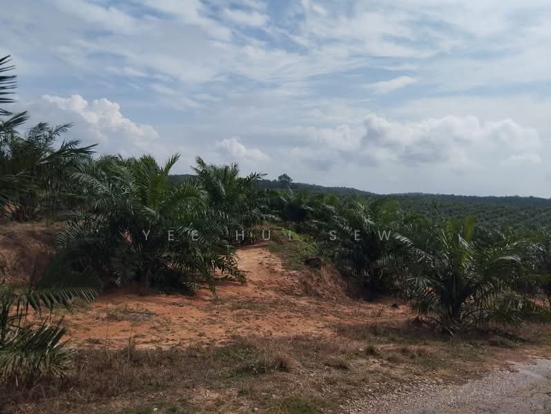 Tanah Pertanian untuk Dijual di Jasin (Melaka) - Yee Hui Sew - PropertyGuru.com.my