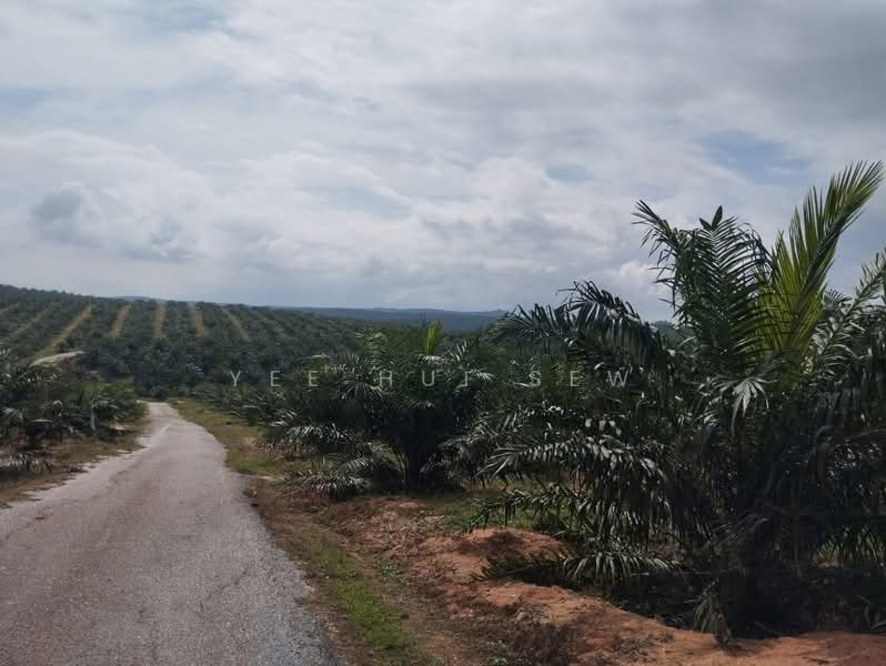Tanah Pertanian untuk Dijual di Jasin (Melaka) - Yee Hui Sew - PropertyGuru.com.my