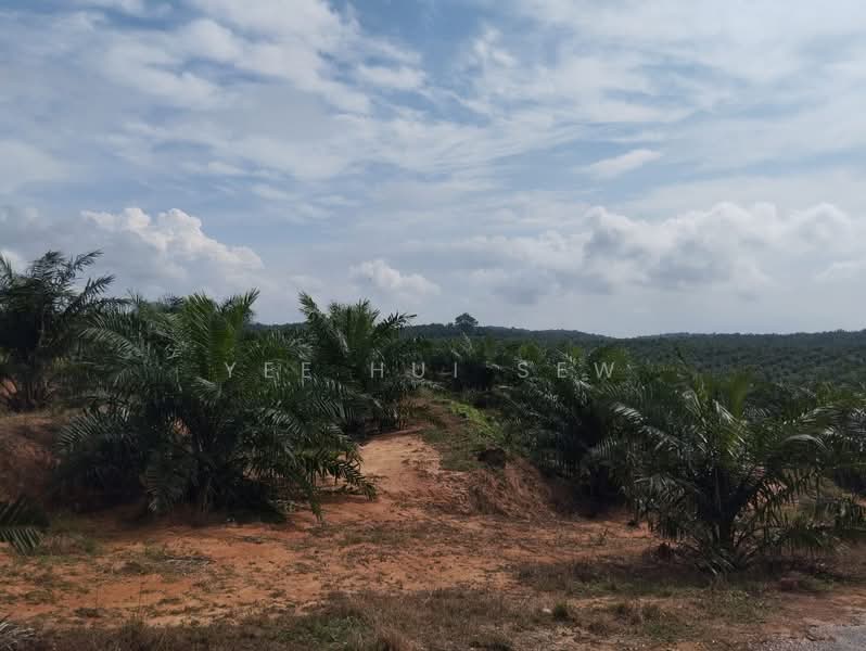 Tanah Pertanian untuk Dijual di Jasin (Melaka) - Yee Hui Sew - PropertyGuru.com.my