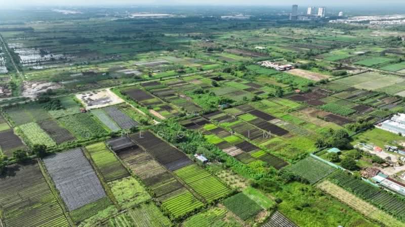 Agricultural Land for Sale in Banting (Selangor) - Peggy Lim - Exterior - PropertyGuru.com.my