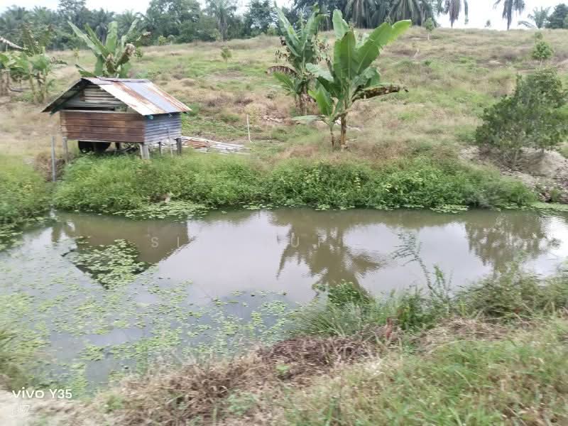 Agricultural Land for Sale in Lenggong (Perak) - SITI RUFIAN - Exterior - PropertyGuru.com.my