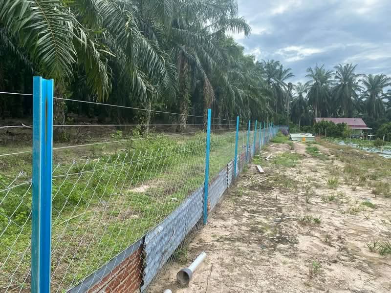 Agricultural Land for Sale in Lenggong (Perak) - SITI RUFIAN - Exterior - PropertyGuru.com.my