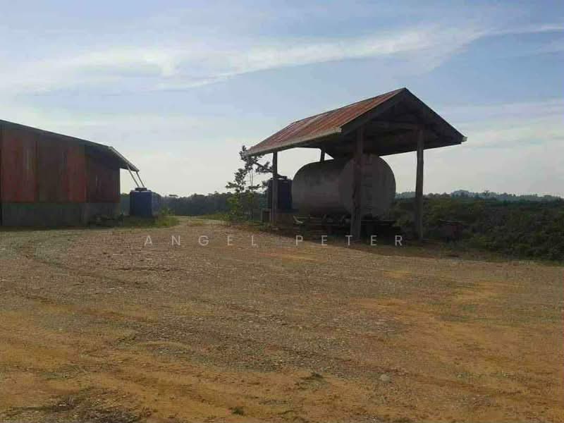 Tanah Pertanian untuk Dijual di Sandakan (Sabah) - Angel Peter - Exterior - PropertyGuru.com.my