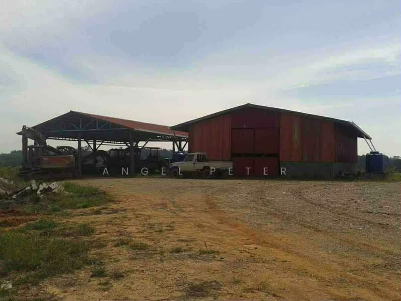 Tanah Pertanian untuk Dijual di Sandakan (Sabah) - Angel Peter - Exterior - PropertyGuru.com.my