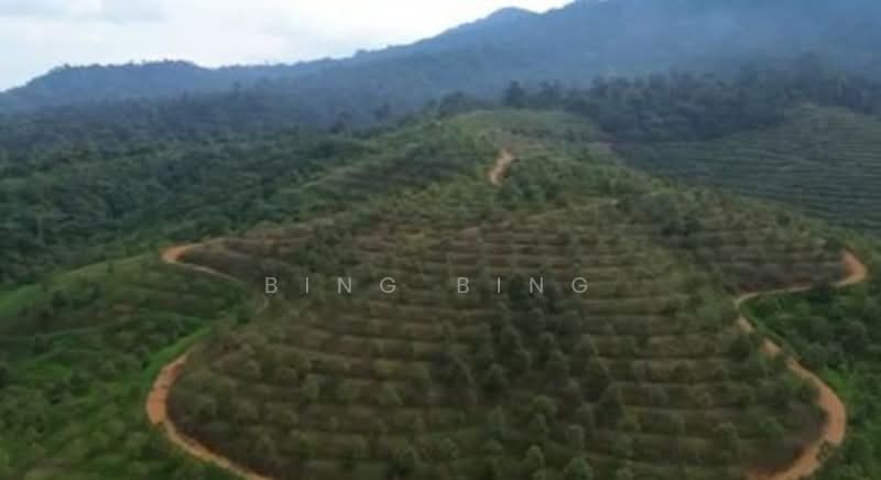 Tanah Pertanian untuk Dijual di Kuantan (Pahang) - Bing Bing - Exterior - PropertyGuru.com.my