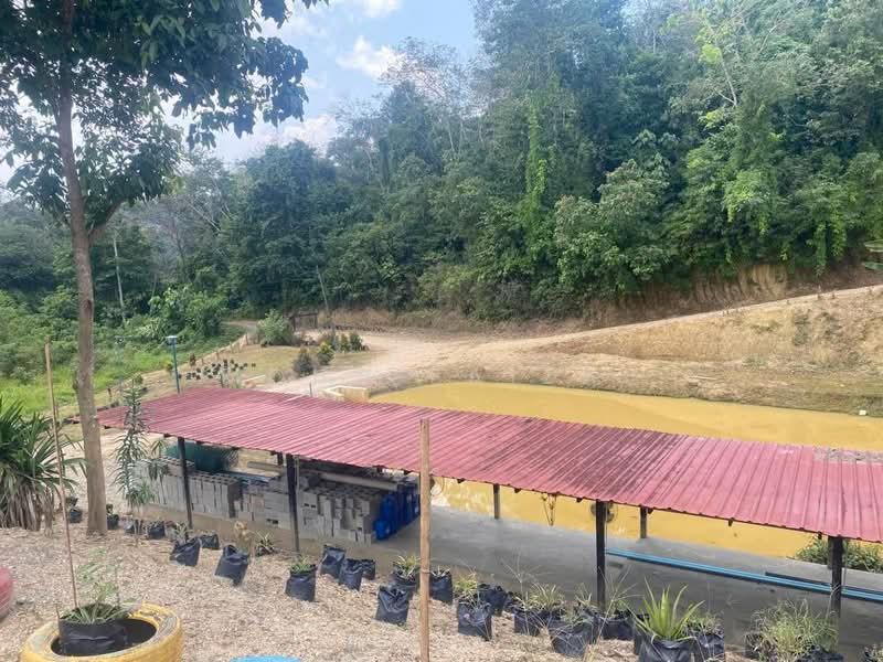 Agricultural Land for Sale in Juasseh (Negeri Sembilan) - Mohd Faizal - Exterior - PropertyGuru.com.my