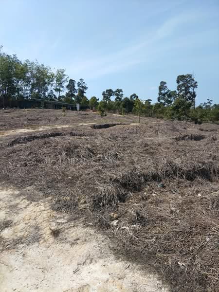 Tanah Pertanian untuk Dijual di Raub (Pahang) - Shirley Yong - Exterior - PropertyGuru.com.my