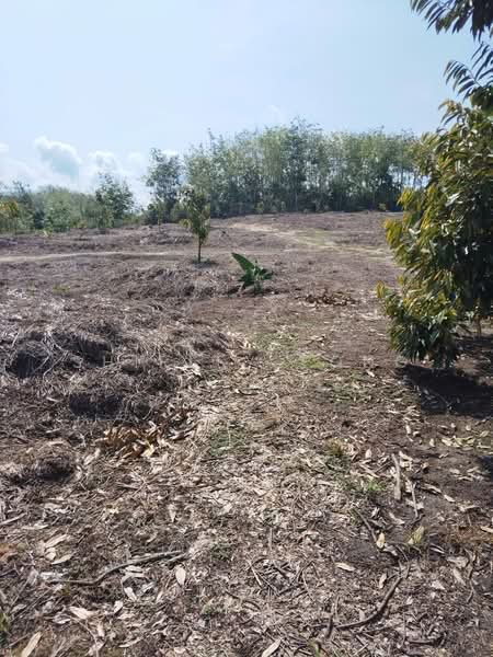 Tanah Pertanian untuk Dijual di Raub (Pahang) - Shirley Yong - Exterior - PropertyGuru.com.my