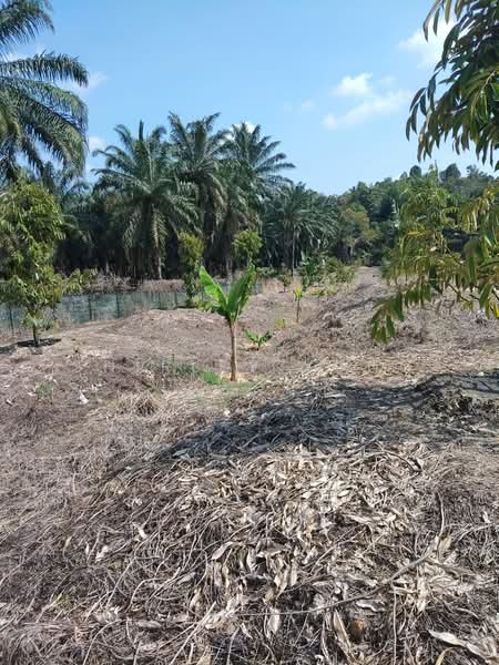 Tanah Pertanian untuk Dijual di Raub (Pahang) - Shirley Yong - Exterior - PropertyGuru.com.my