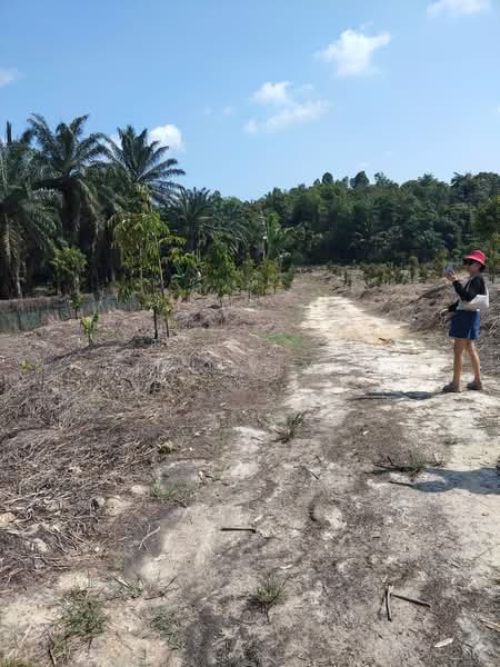 Tanah Pertanian untuk Dijual di Raub (Pahang) - Shirley Yong - Exterior - PropertyGuru.com.my