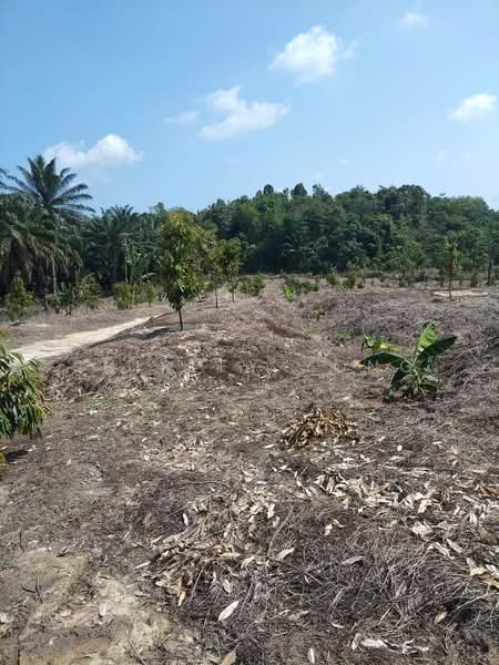 Tanah Pertanian untuk Dijual di Raub (Pahang) - Shirley Yong - Exterior - PropertyGuru.com.my