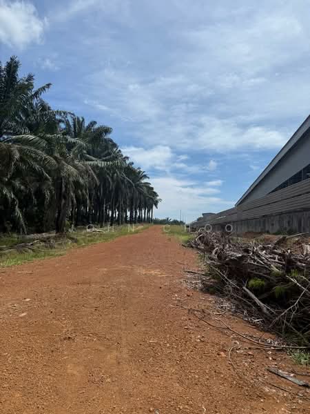 Tanah Pertanian untuk Dijual di Gelang Patah (Johor) - John Choo - Exterior - PropertyGuru.com.my