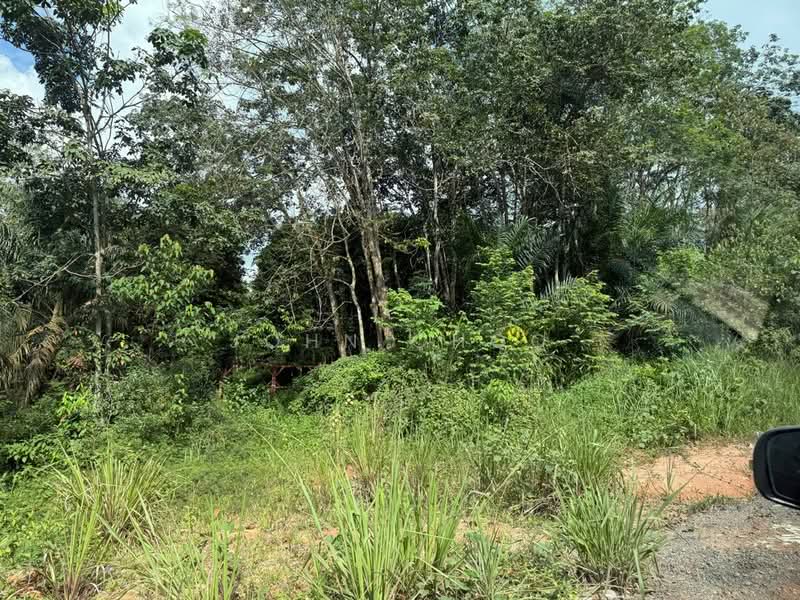 Tanah Pertanian untuk Dijual di Senai (Johor) - John Choo - Exterior - PropertyGuru.com.my