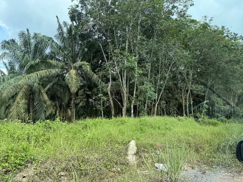 Tanah Pertanian untuk Dijual di Senai (Johor) - John Choo - Exterior - PropertyGuru.com.my