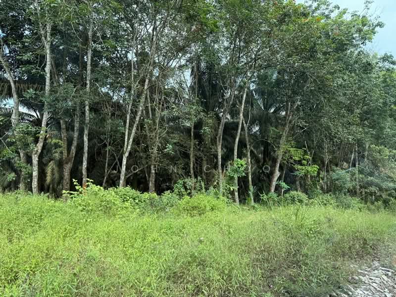 Tanah Pertanian untuk Dijual di Senai (Johor) - John Choo - Exterior - PropertyGuru.com.my