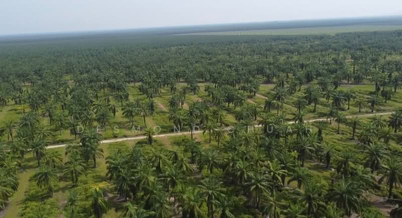 Residential Land for Sale in Lekir (Perak) - Desmond Chuah - PropertyGuru.com.my