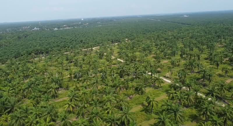 Residential Land for Sale in Lekir (Perak) - Desmond Chuah - PropertyGuru.com.my