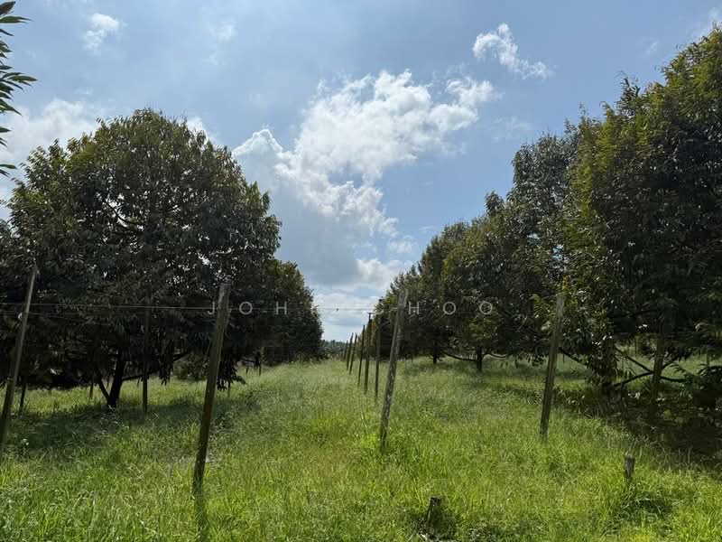 Tanah Pertanian untuk Dijual di Kota Tinggi (Johor) - John Choo - Garden - PropertyGuru.com.my