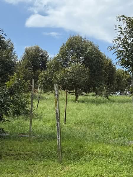 Tanah Pertanian untuk Dijual di Kota Tinggi (Johor) - John Choo - Garden - PropertyGuru.com.my