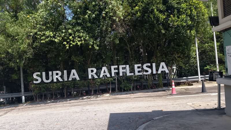 For Sale - Suria Rafflesia