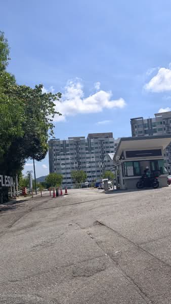 For Sale - Suria Rafflesia