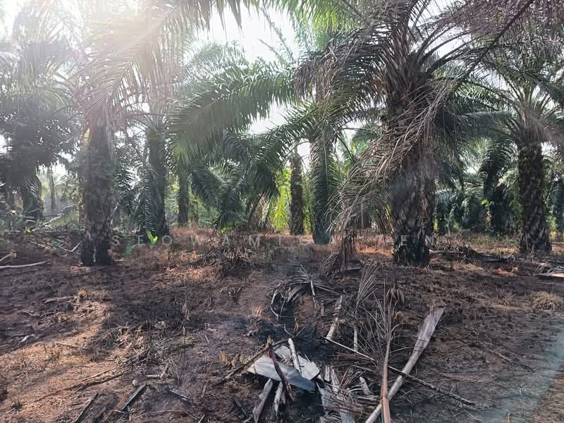 Tanah Pertanian untuk Dijual di Tangkak (Johor) - Seowamiga Ten - PropertyGuru.com.my