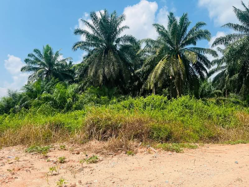 Agricultural Land for Sale in Taman Pontian Jaya (Pontian) - Sin Yie - Exterior - PropertyGuru.com.my