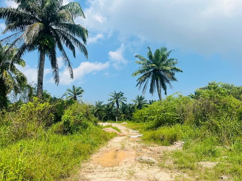 Agricultural Land for Sale in Taman Pontian Jaya (Pontian) - Sin Yie - Exterior - PropertyGuru.com.my