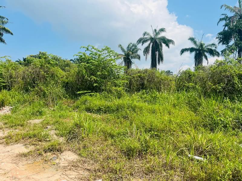 Agricultural Land for Sale in Taman Pontian Jaya (Pontian) - Sin Yie - Exterior - PropertyGuru.com.my