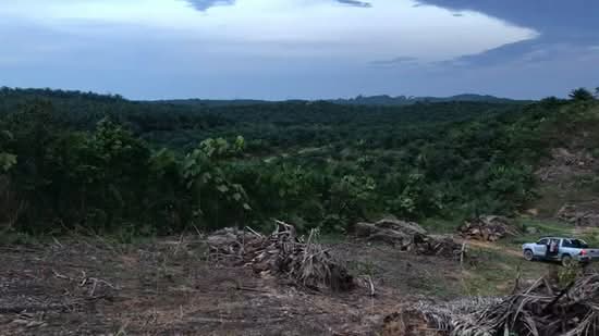 Tanah Pertanian untuk Dijual di Kluang (Johor) - Sin Yie - PropertyGuru.com.my