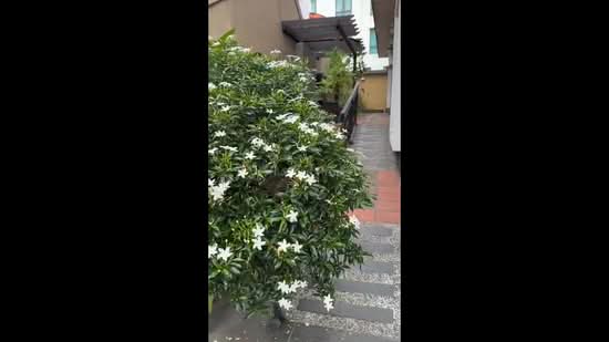 Bungalow for Sale in Bukit Rahman Putra (Sungai Buloh) - Anna Goh - PropertyGuru.com.my