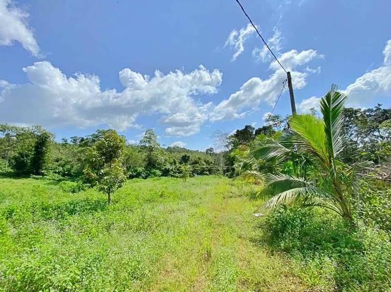 Tanah Pertanian untuk Dijual di Temerloh (Pahang) - N. Melisa - Exterior - PropertyGuru.com.my