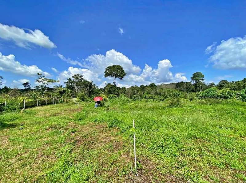 Tanah Pertanian untuk Dijual di Temerloh (Pahang) - N. Melisa - Exterior - PropertyGuru.com.my