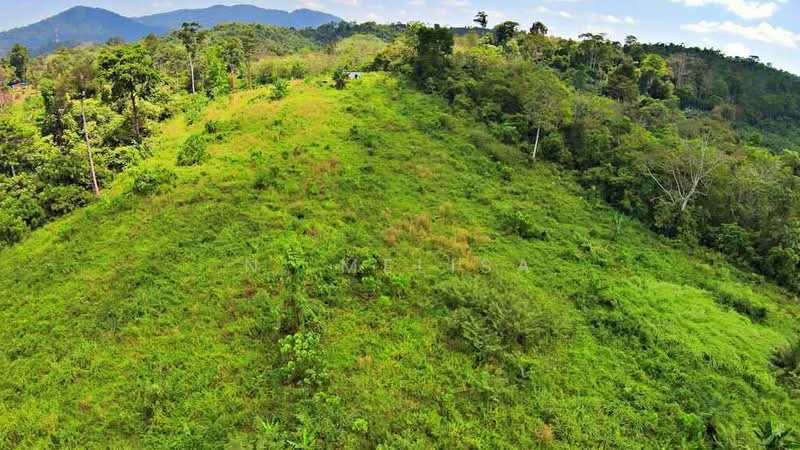 Tanah Pertanian untuk Dijual di Temerloh (Pahang) - N. Melisa - Exterior - PropertyGuru.com.my