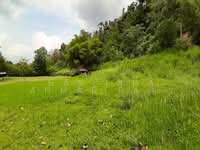 For Sale - Land Kampung Chemperoh Janda Baik