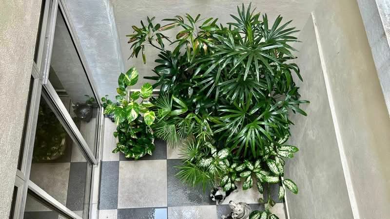 Rumah Teres 2.5 Tingkat untuk Dijual di Subang Jaya (Selangor) - Carmen Lee - Balcony - PropertyGuru.com.my