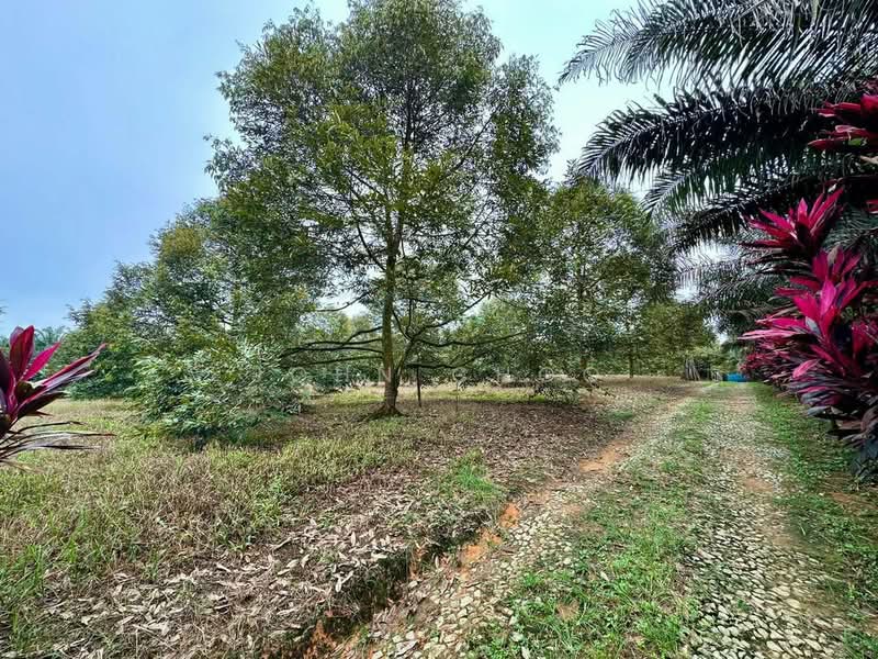 Agricultural Land for Sale in Kulai (Johor) - John Choo - Exterior - PropertyGuru.com.my