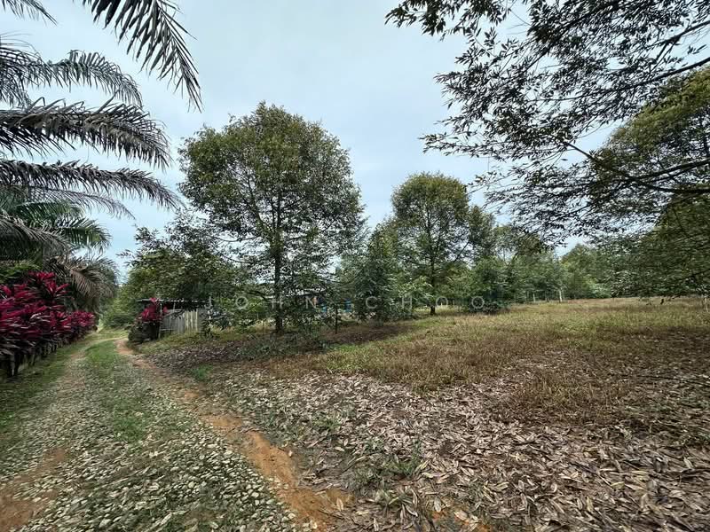 Agricultural Land for Sale in Kulai (Johor) - John Choo - Exterior - PropertyGuru.com.my