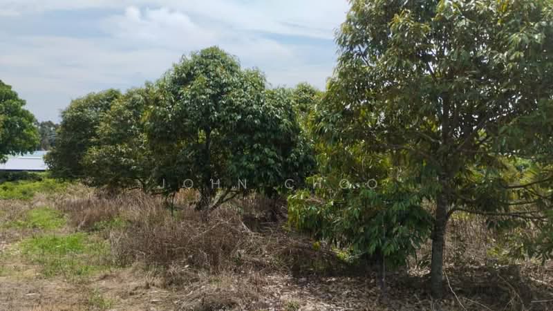 Agricultural Land for Sale in Simpang Pertang (Negeri Sembilan) - John Choo - Garden - PropertyGuru.com.my
