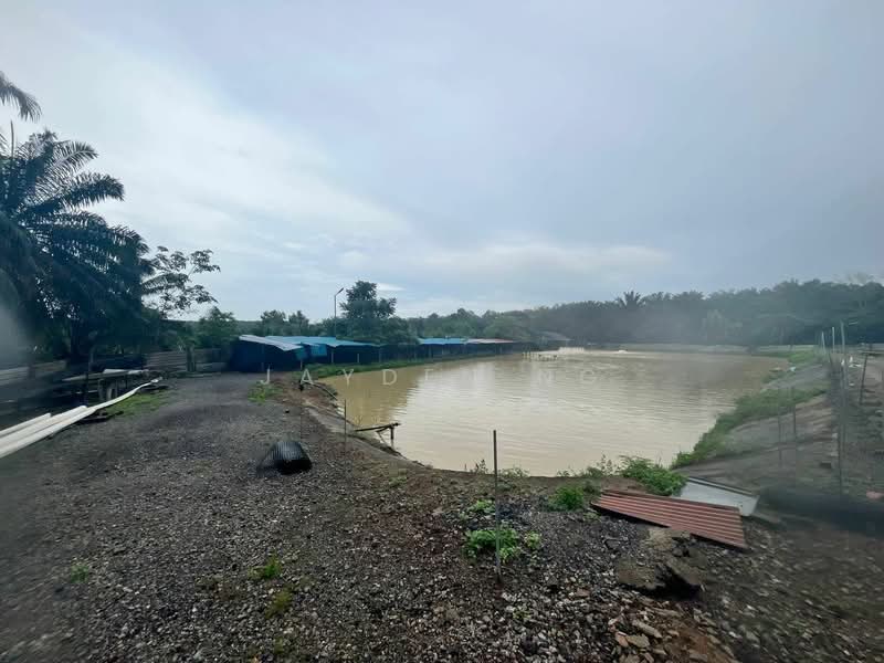 Agricultural Land for Sale in Kampung Plentong (Masai) - Jayden Ng - Exterior - PropertyGuru.com.my