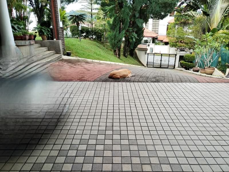 Bungalow for Sale in Taman Bukit Pantai (Bangsar) - Elison Fong - Exterior - PropertyGuru.com.my